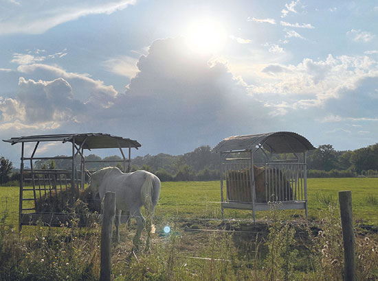 A_LA-FRAICHE-seminaire-au-vert-campagne-yvelines-2