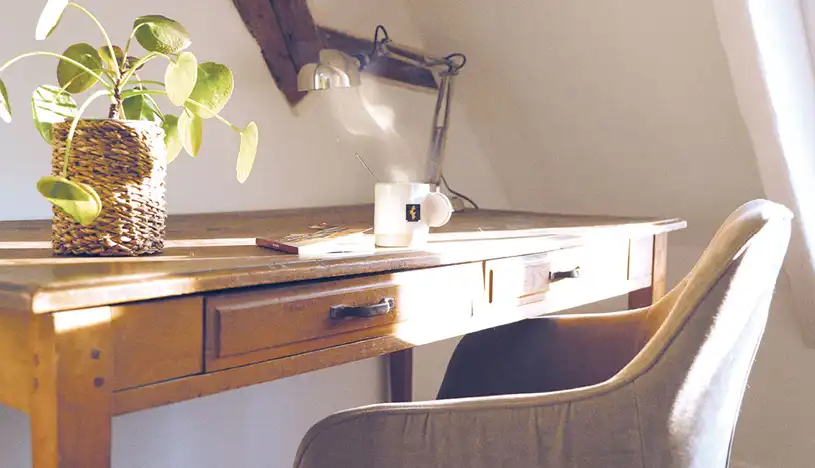 A_LA-FRAICHE-séminaire-bureau-privé-coworking-reunion