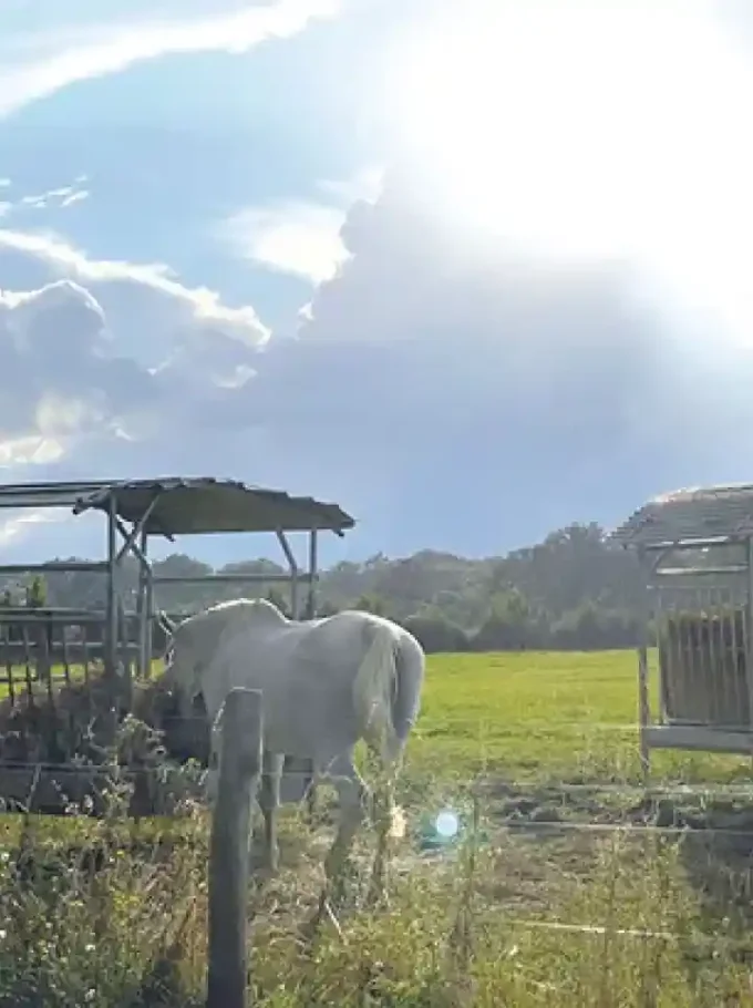 A_LA-FRAICHE-seminaire-au-vert-proche-paris-environement-yvelines-caroussel1-1