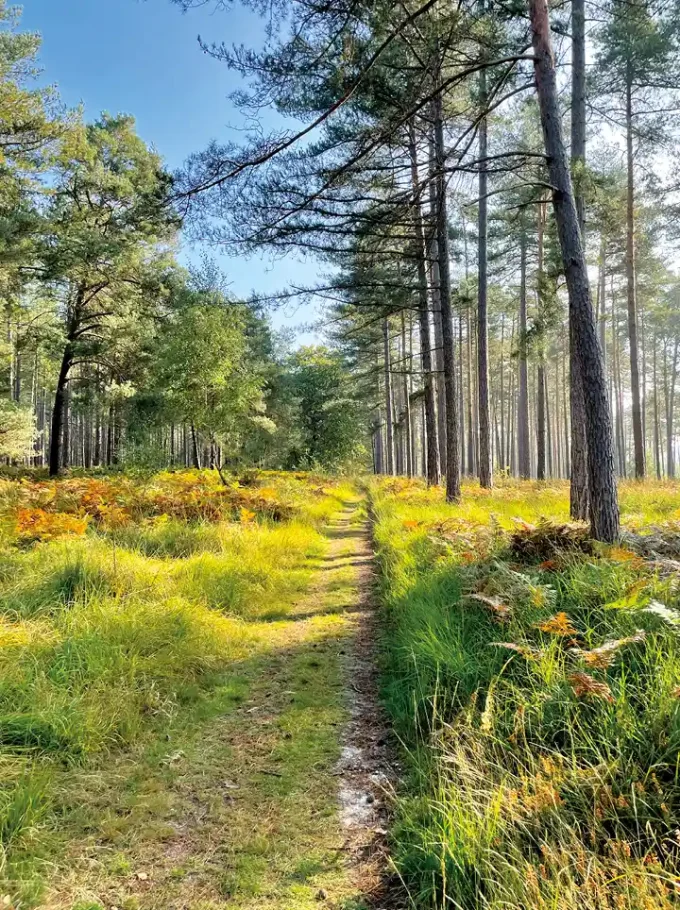 A_LA-FRAICHE-seminaire-au-vert-proche-paris-environement-yvelines-caroussel1-2