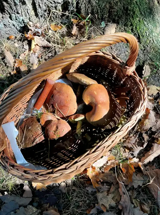 A_LA-FRAICHE-seminaire-au-vert-proche-paris-environement-yvelines-caroussel1-5