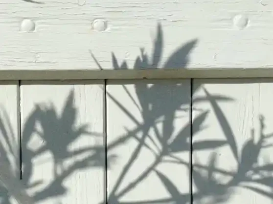 A_LA-FRAICHE-seminaire-au-vert-proche-paris-le-cadre-caroussel2-6