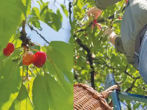 A_LA-FRAICHE-seminaire-au-vert-proche-paris-le-cadre-caroussel2-7